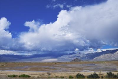 Rain in the Desert