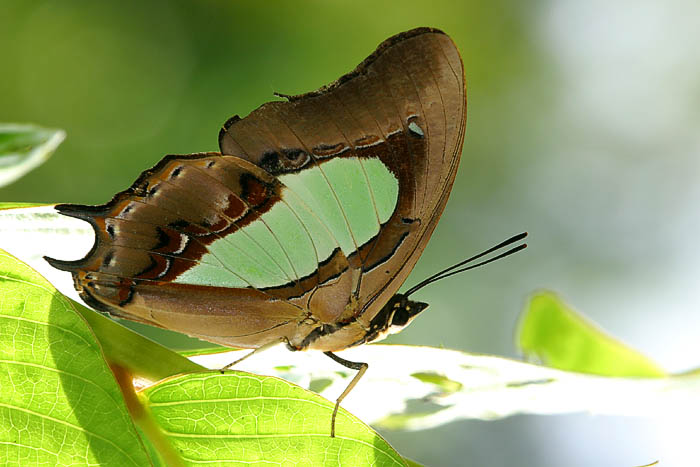 CRW_8714.jpg