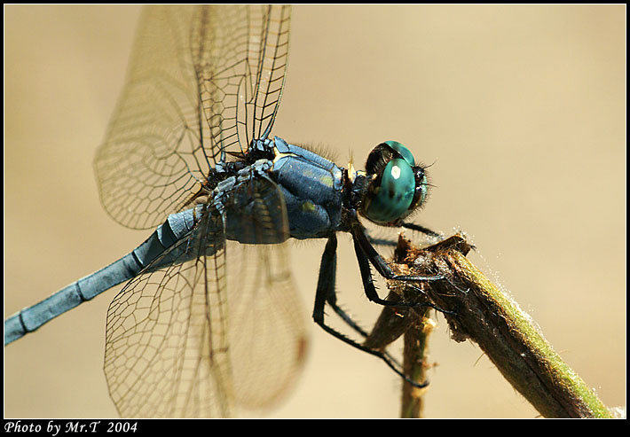 Crop_DSCF1215.jpg