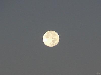 The moon at 6:45am.jpg(233)