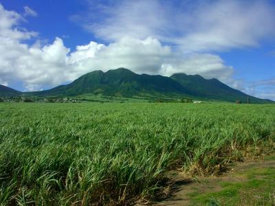 StKitts056.jpg