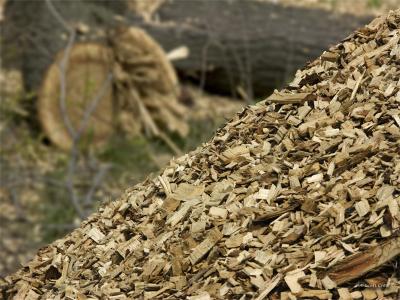Woodpile by Scott Cole