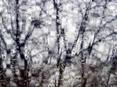 window + rain + trees by mat