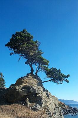 Living on the Edge