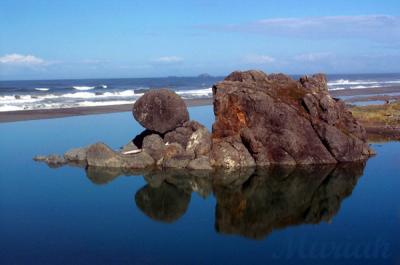 Turtle Rock