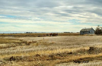 farm on the plains ... 