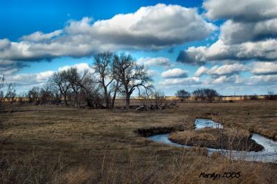 'pastureland ... '
