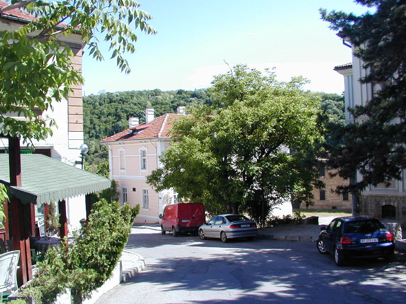 sP5070581.JPG