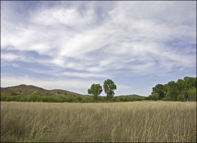 Nature Conservancy