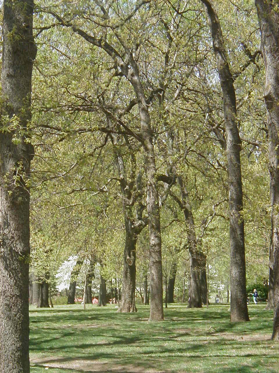 Spring 8