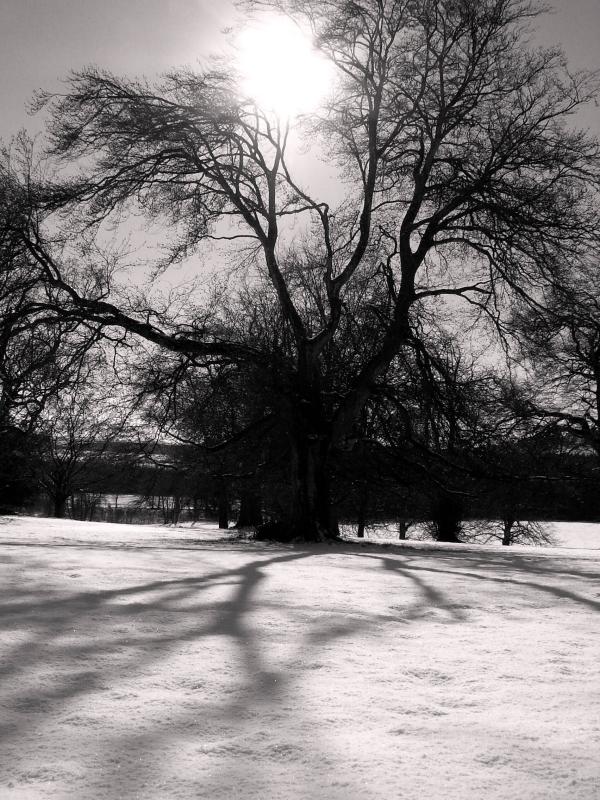 PICT0009a.jpg