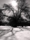 PICT0009a.jpg
