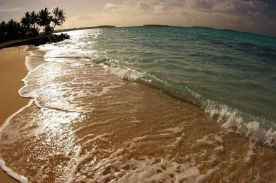 DSC_1794FxShSm.jpg