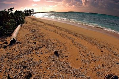 DSC_1773FxShSm.jpg
