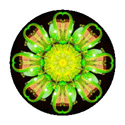 flower wheel