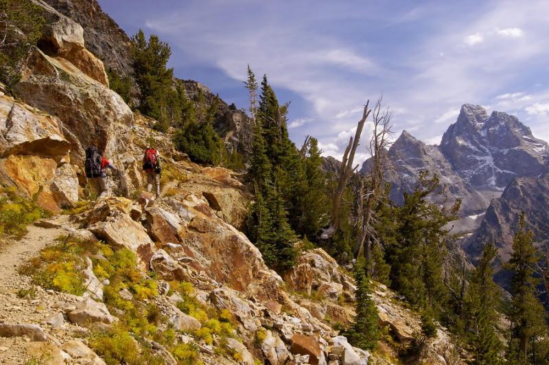 To the Paintbrush Divide