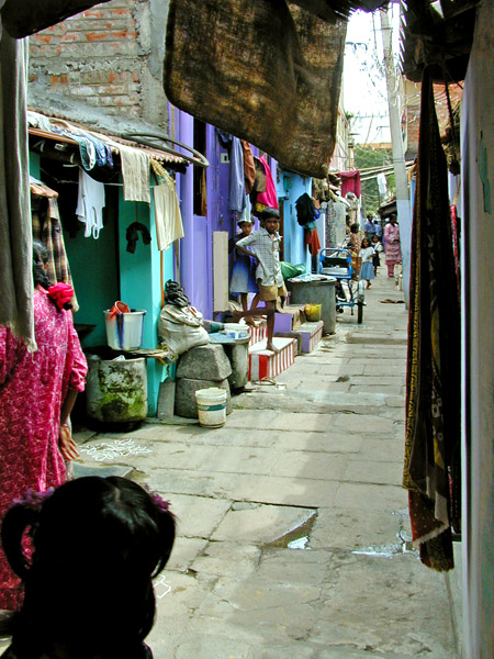 Life in Sellur