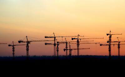 dawn-cranes.jpg