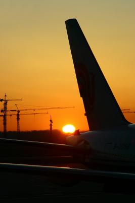 sun-flight.jpg