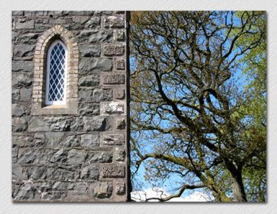 Window Tree