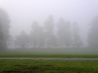 P9260075a.jpg