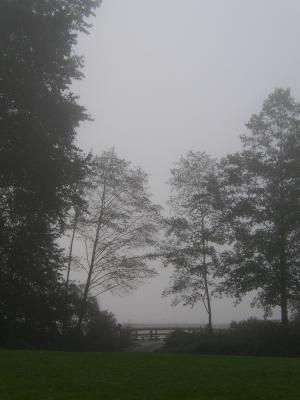 P9260100.jpg