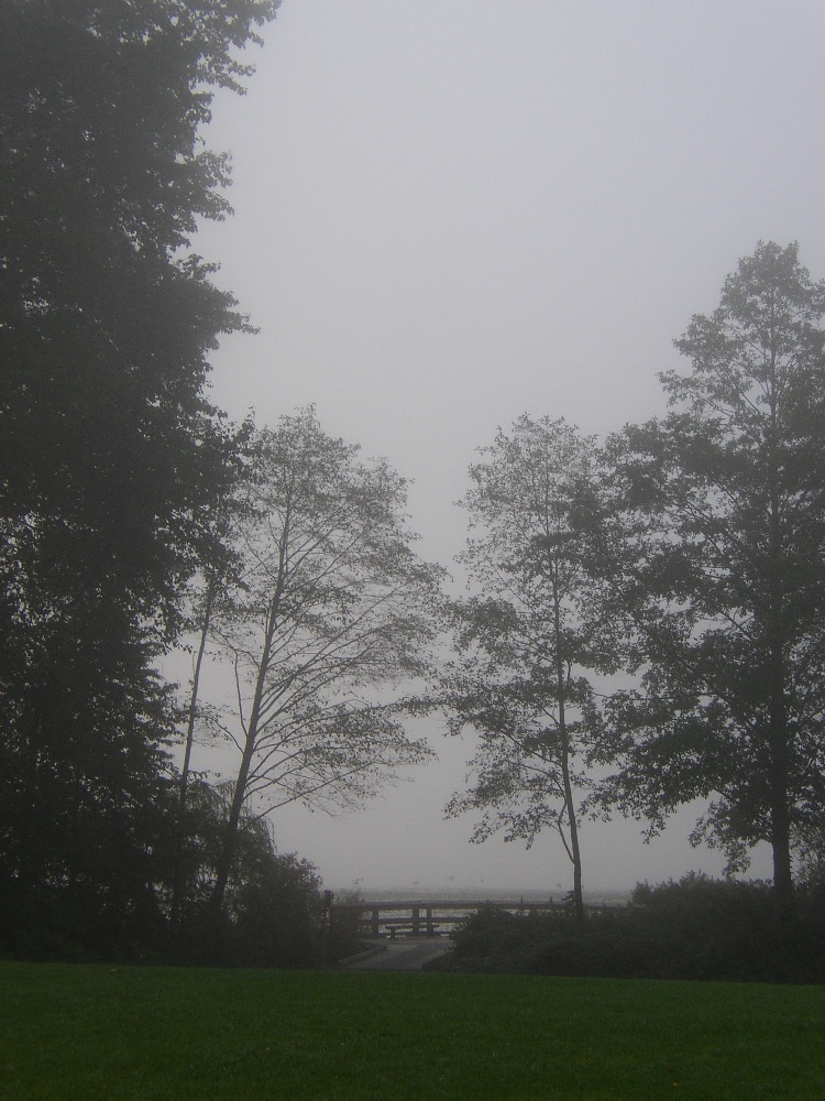P9260100.jpg