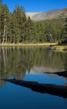 Quiet lake near Tuolumne Meadows camp