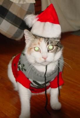 Xmas_Moogy.jpg