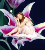 fairy-James0.jpg