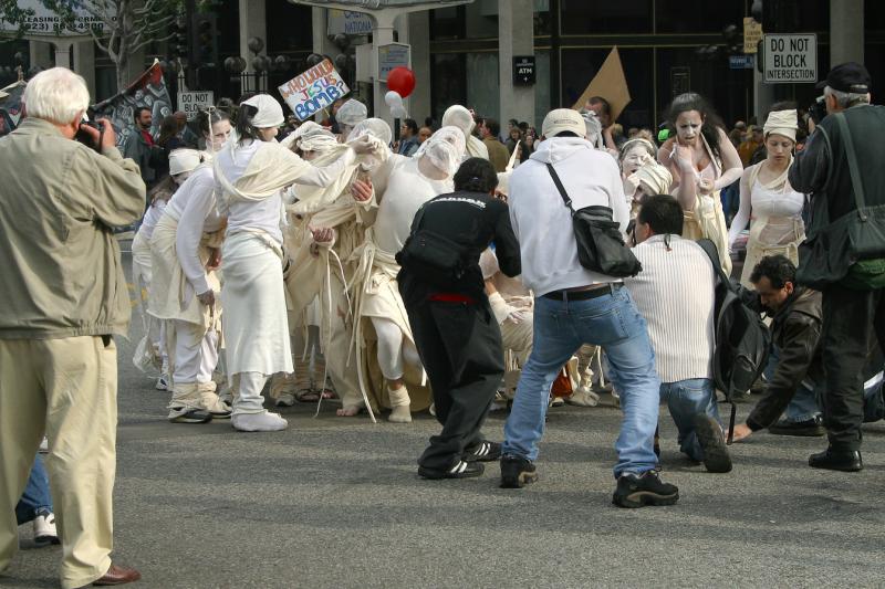 Photographing Protesters