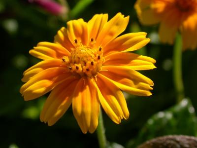 DSCN3951.jpgPB.jpg