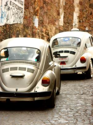Beetles