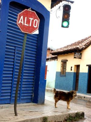 aa