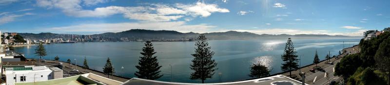 Over Oriental Bay