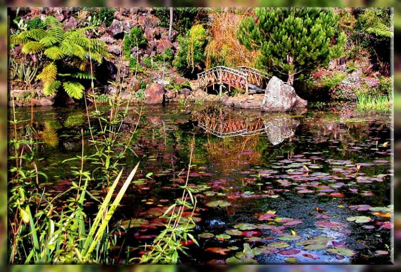 1 May 2004 - Water Gardens