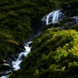 Unnamed waterfall, Fox Glacier area