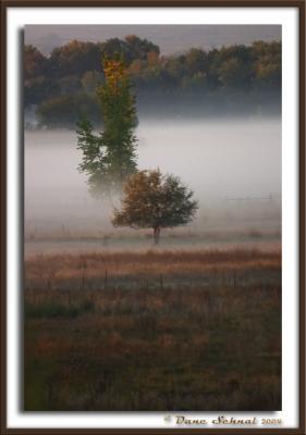 Misty Morn - Sep 29