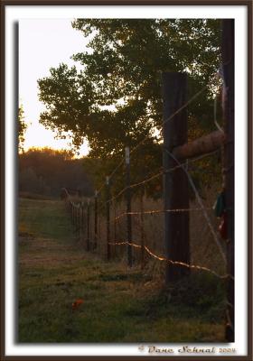 Sunrise Sunlit Fence - Oct 9
