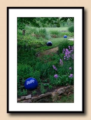 Evening Garden--Blue Balls