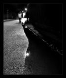 La nuit