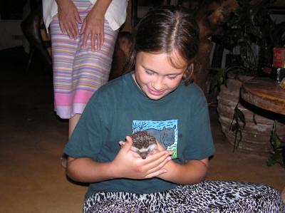 6AvenHedgeHog.JPG