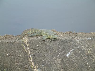 DSCF0031.JPG