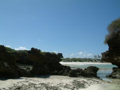 DSCF0047.JPG