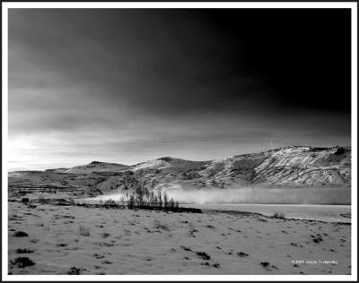 Fog on the lake