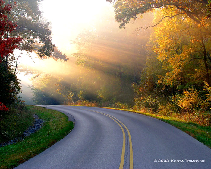 Sun Rays