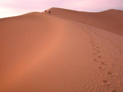 Mesquite Sand Dunes