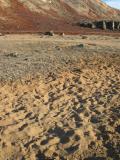 Dust Bath