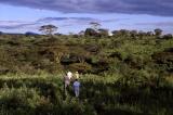 Masai Walk: Heading Back Down