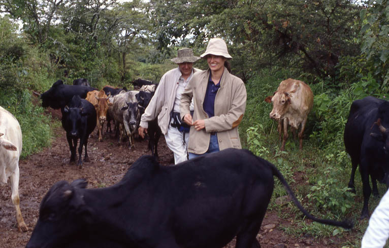 Masai Walk: George, Caroline, and Cows